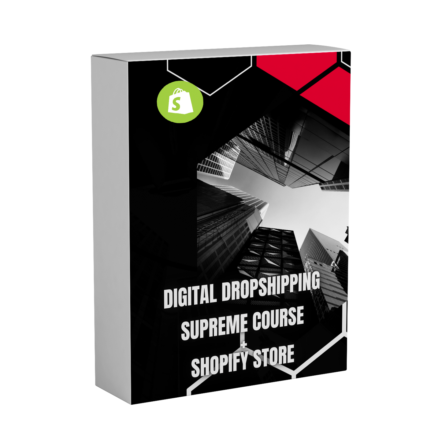 Digital Dropshipping Supreme Course + Shopify Store